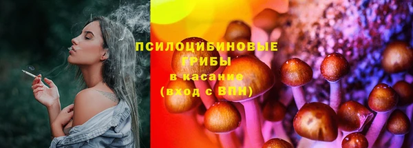 стафф Няндома