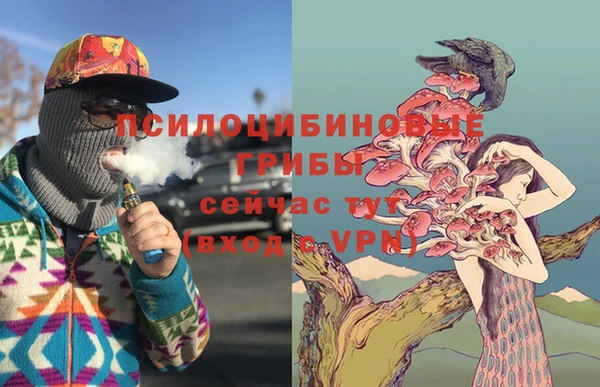 ALPHA PVP Нязепетровск