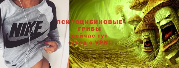 стафф Няндома