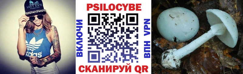 Псилоцибиновые грибы прущие грибы  Купить где  Кимовск 